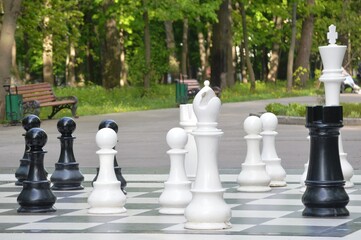 chess pieces on the board