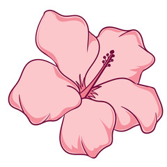 hibiscus flower with color hand draw style