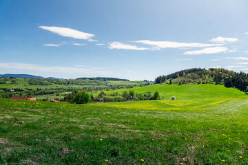 Grassy Field With Hill in Background