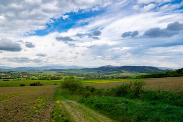 Obraz premium Dirt Road Cutting Through Lush Green Field