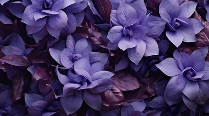 purple leaves and petals of flowers