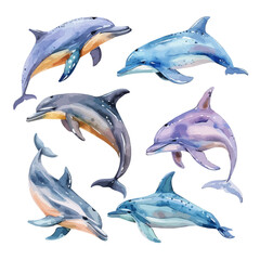 Watercolor painting of dolphin set, isolated on a white background, dolphin vector, drawing clipart, Illustration Vector, Graphic Painting, design art, logo