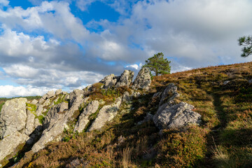 Au sommet des falaises, un parterre de rochers émerge de la végétation de la lande bretonne, offrant une vue panoramique saisissante sur la presqu'île de Crozon, un mélange de robustesse minérale et d