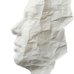 Rzeźba z papieru, przedstawiająca głowę kobiety, wykonana w skali sztuki. Dzieło sztuki zawiera wiele detali