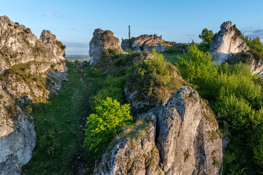 Zborow Mountain in the entire Krakow Czestochowa Upland, Poland