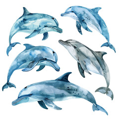 Watercolor Vector painting of dolphin set, isolated on a white background, dolphin set vector, dolphin set clipart, dolphin set art, dolphin set painting, dolphin set Graphic, drawing clipart.