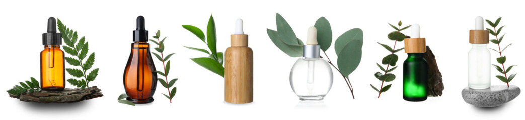 Set of different herbal essential oils on white background