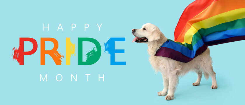 Cute labrador dog with LGBT flag on blue background