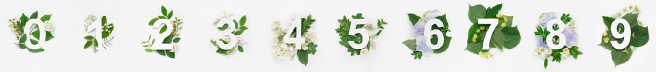 Numbers with green leaves and spring flowers on white background