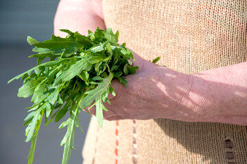 A person holding a bunch of green leaves, a mix of fines herbs ingredients like herbs and leaf...