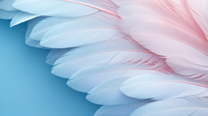 Delicate Blue and Pink Feathers on Soft Blue Background