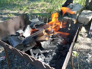 barbecue on the grill. 