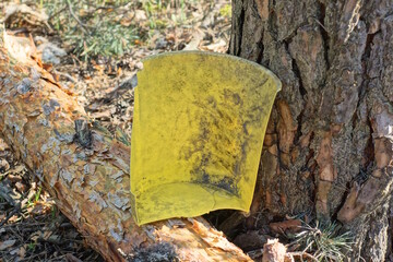 one yellow dirty plastic piece from a broken bucket stands on a brown log near a pine tree on the street