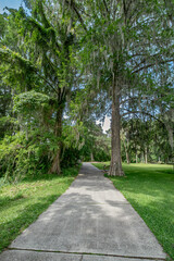 Walking Trail, Silver Springs State Park, Florida