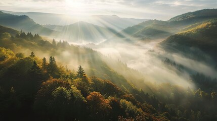 Amazing nature scenery, mountains under morning mist