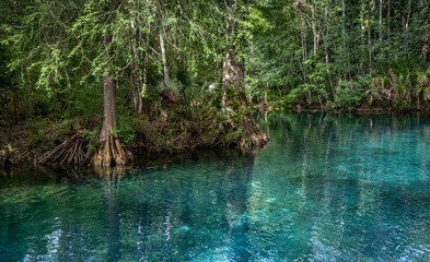 Silver River, Silver Springs State Park, Florida