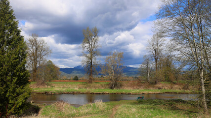 Green spring scenery with leafless trees