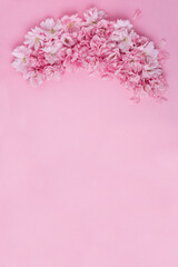 spring background pink cherry flowers