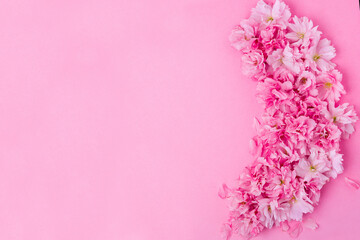spring background pink cherry flowers