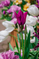 photo of spring flowers in the park
