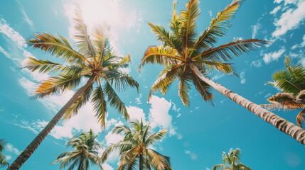 Fototapeta premium Palm trees swaying on a tropical summer beach
