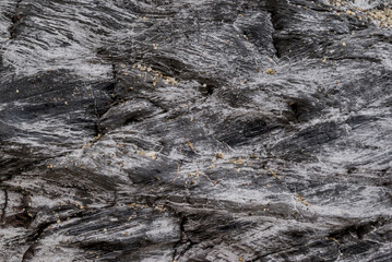 small sea stone pebble background. Multicolored abstract