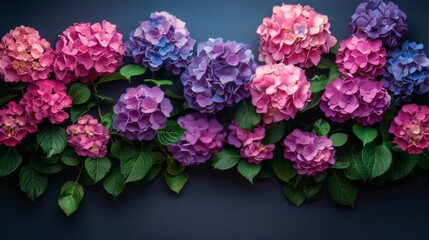 Close Up of Pink and Blue Flowers