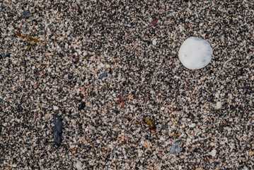 small sea stone pebble background. Multicolored abstract