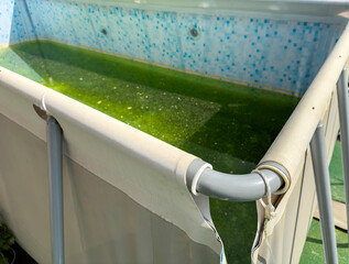 Garden pool with green algae in the water