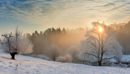 frosty winter morning