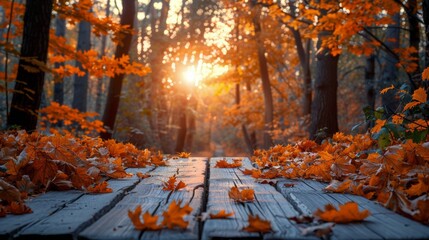 Wooden Table Covered With Leaves in Forest