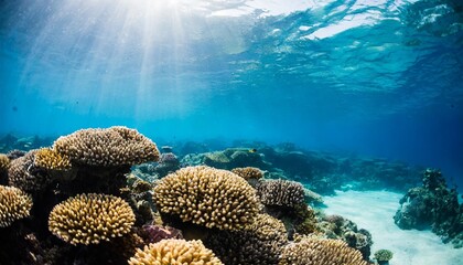 sea deep or ocean underwater with coral reef as a background for