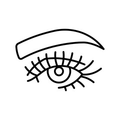 Human eye, line icon. Open female eye, lashes, brow, bridge of the nose. Front view. Minimalist vector illustration, editable strokes