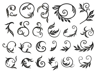 Flourish vignette scroll victorian curl swirl tattoo certificate calligraphic ornamental