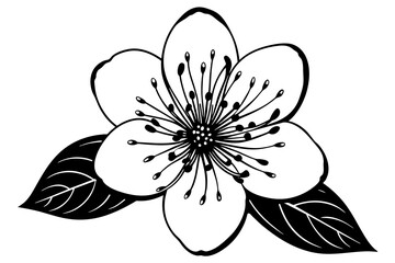  a-blooming-pear-blossom-is-a-small-white-flower vector illustration