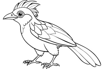  umbrellabird live art vector illustration