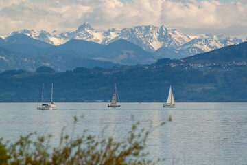 Naklejka premium Panoramic view of the Alps from the German coast of Bodensee