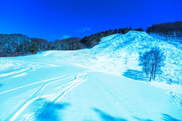 青空と新雪のゲレンデ