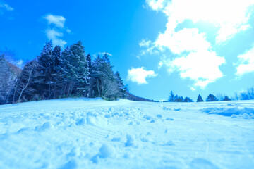 青空と新雪のゲレンデ