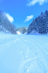 青空の林間コース、晴れた日のゲレンデ