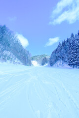 青空の林間コース、晴れた日のゲレンデ