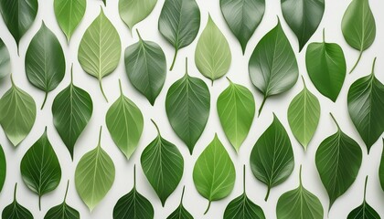 seamless pattern of green leaf on white background realistic natural leaves abstract generative ai
