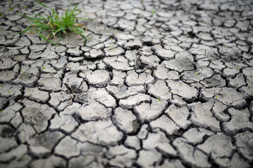 Muster Hintergrund für Trockenheit und Klimawandel in der Natur. Landwirtschaft zeigt Risse im...
