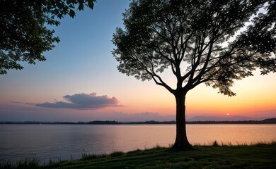 professional photograph of single tree in sunset