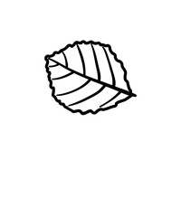 Vector autumn elements ,pumpkin, nut, ,house, shoe, leaf, umbrella design 