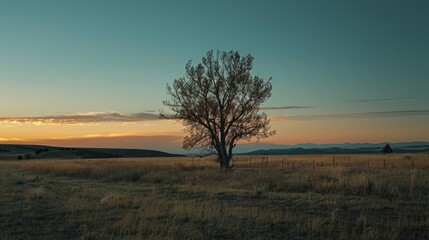 Digital Analysis in Dusk