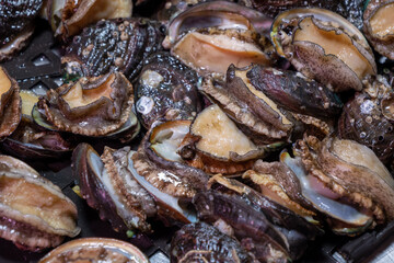 Close up of fresh abalone at the fish market - Qingdao Seafood Market,China