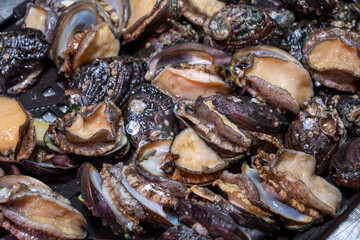 Close up of fresh abalone at the fish market - Qingdao Seafood Market,China