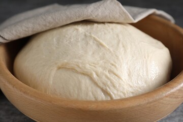 Raw dough in bowl on table, closeup