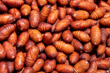 Tussah oak silkworm pupa for sale on market,Qingdao china - obrazy, fototapety, plakaty